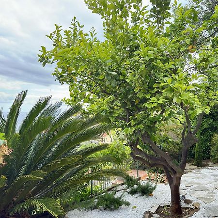 Villa Cielo Costarainera Luaran gambar