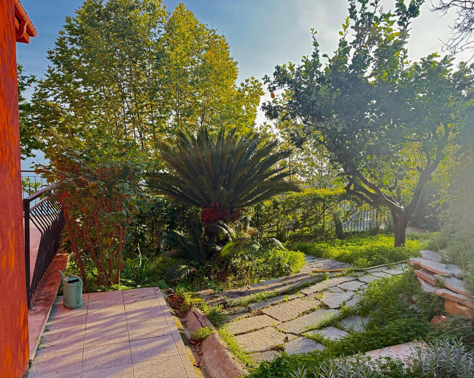 Villa Cielo Costarainera Luaran gambar