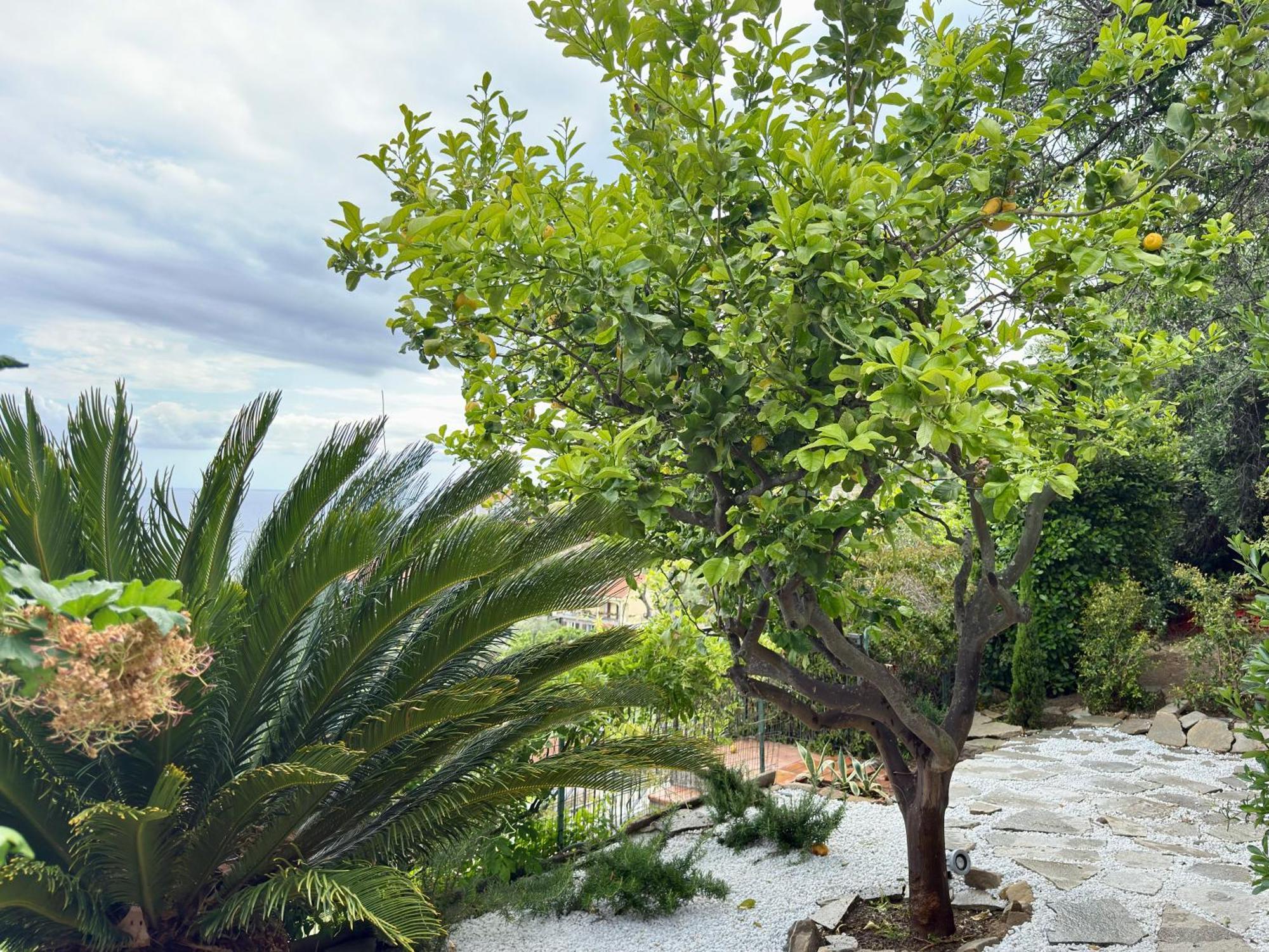 Villa Cielo Costarainera Luaran gambar